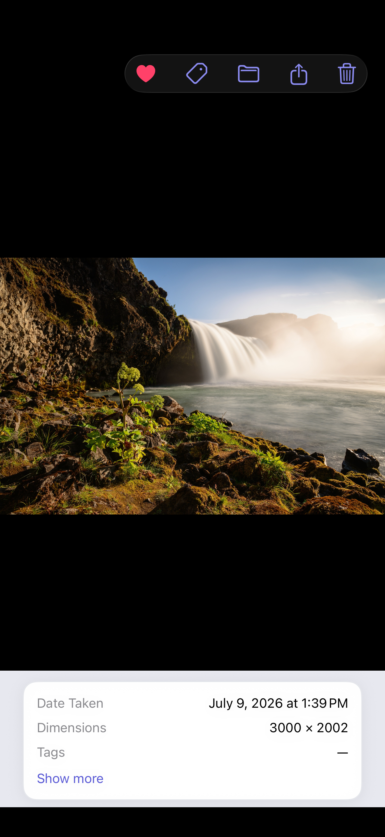 A photo open in PixSort with its details